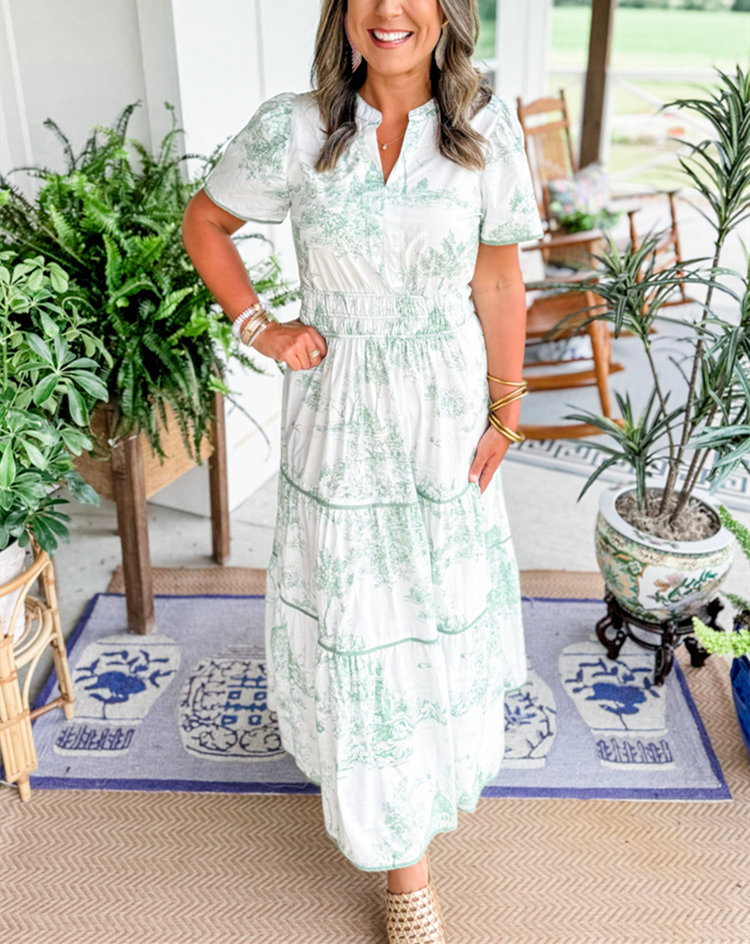 Cylene | classic toile dress