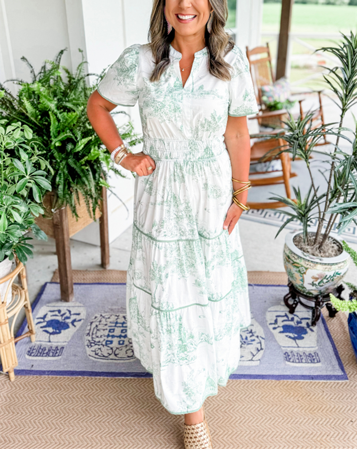 Cylene | classic toile dress
