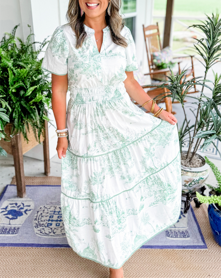 Cylene | classic toile dress