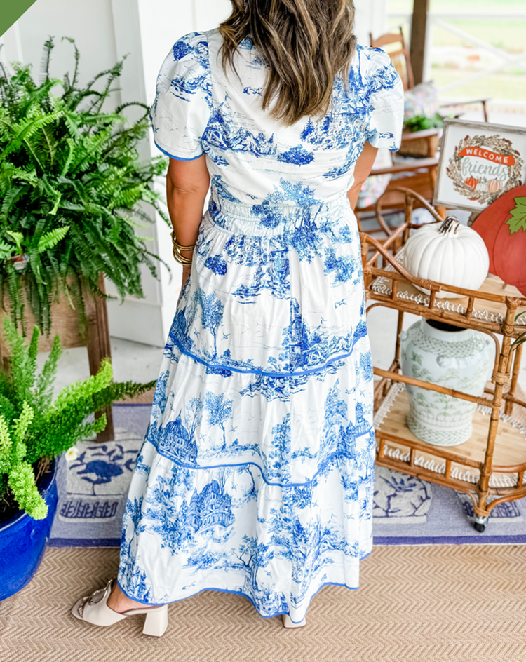 Cylene | classic toile dress