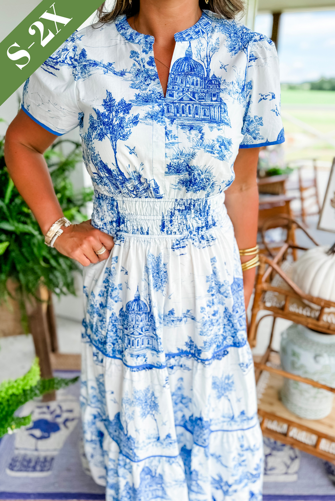 Cylene | classic toile dress