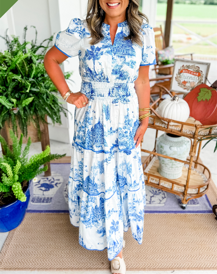 Cylene | classic toile dress