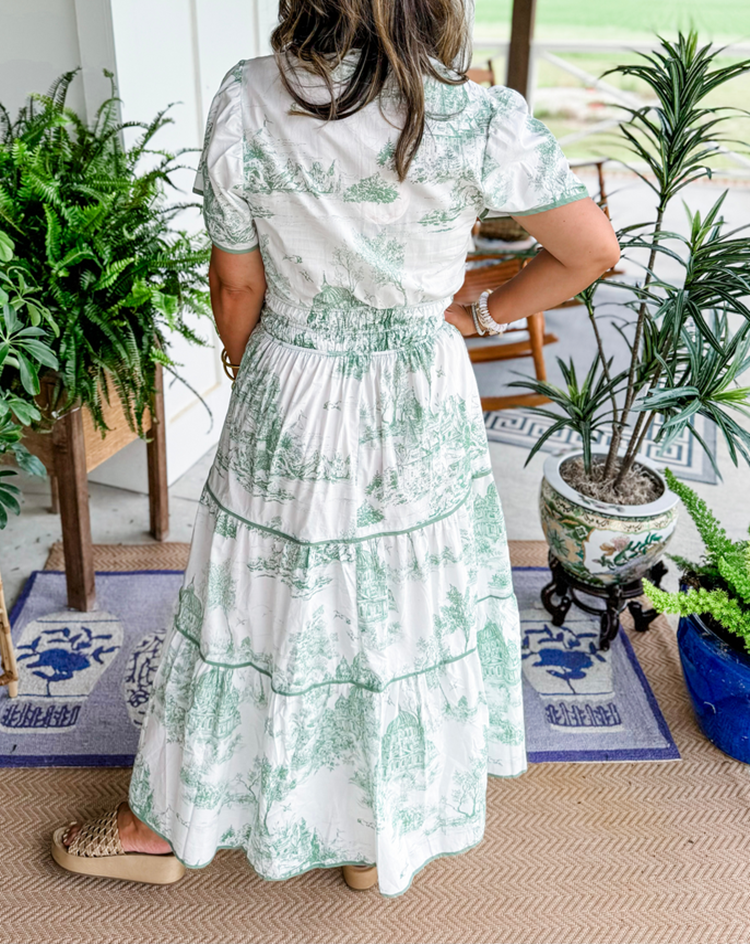 Cylene | classic toile dress